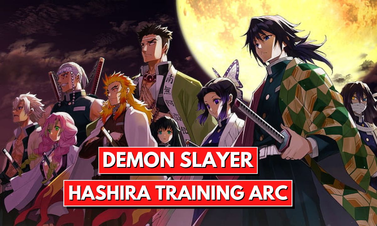 Demon Slayer: Kimetsu no Yaiba Hashira Training Arc
